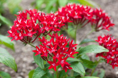 thumb1_d1825f1a912176b68797fa61338ca19e