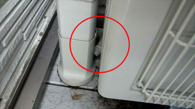 cm161008-11104800669