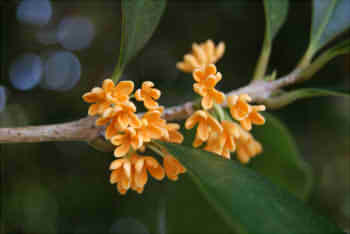 0a90beba49d78f12472e18d0677367e7_s2