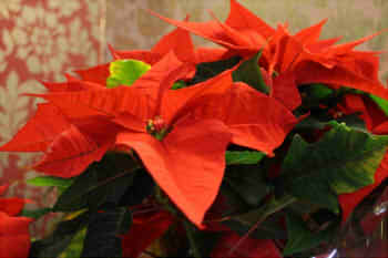 9cd545f2965b020286ca7afd45c91fd3_s