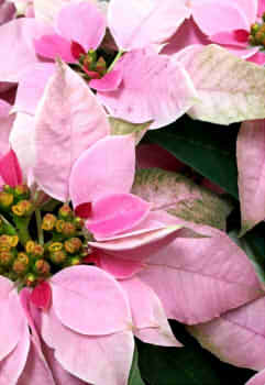 de29b43e12b73c196637e700272f55e0_s