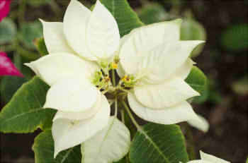 edb4107193246db774e3c11b2130cfb5_s