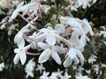 043196589d8c4d029ed755a0ce4ffd8e_s