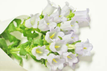 1284d6d12ac0be4f17491d82c416fdce_s