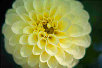 13de9b88aabfeb41553c1ecf723f1119_s