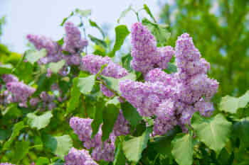 19f017263b6d03e901fb73cc2928d10b_s