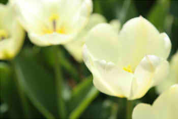 1ae88ce9d30d18d77a08a7be41fb46d0_s