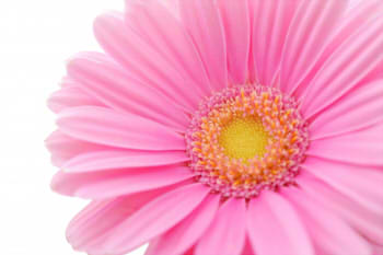 1f0ee0c36b7938a7382fac4de0f60039_s