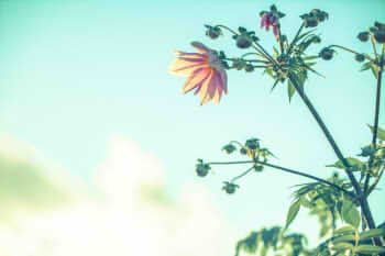 21a557c1f4529d0b77657d8dc8d15de9_s