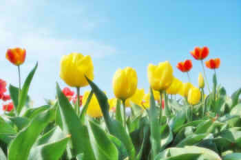 21df9670789734d8791381da5bf664ae_s