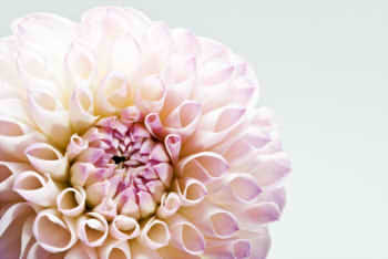 22491c29d43da7d985586c7fb5d9e3e9_s