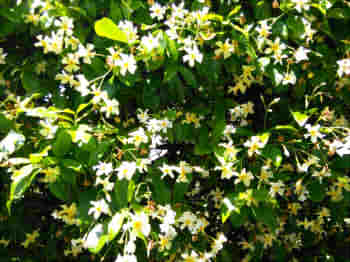 31b22916bdeba45bcf8faa6f853fe7bb_s