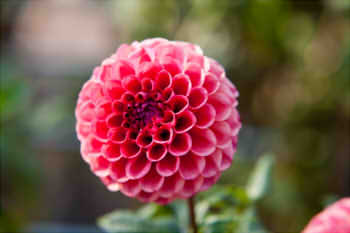 3dc566d8528609227f91b1083df2f986_s