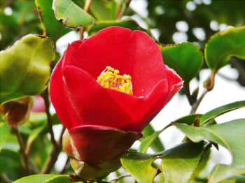 40ec5f5ab09e54b8c5ae0c1fc11d2baf_s