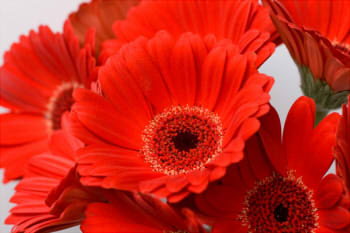 45e864b17f2ebd7c7bbaeede492be377_s