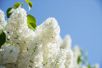 4bdcbe62ecea5716feb0b5faaf6565ad_s