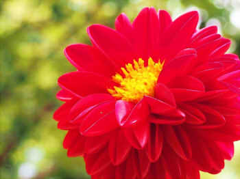 5785de1a27c64b55c8ce1dd6a2d9ed47_s