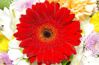 621d9f926aa80089d19f0becef8a6a4f_s