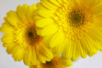 63744014793ca364c1869b238f33295a_s