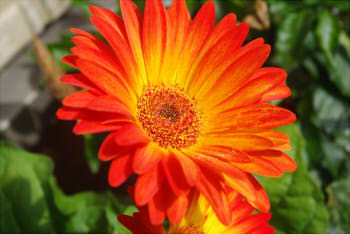 67be3c118da1f2dfa8c0a74fb815f126_s