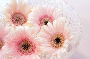 6e9cde4402dd680d64447cfb9b4b84a5_s