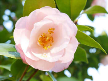 714f6c791f71819db89f43a3afc1b9b9_s