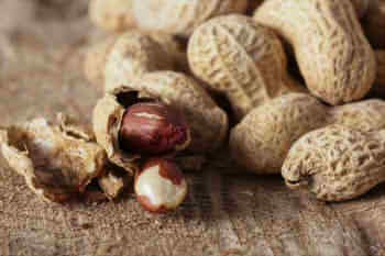 72d831da102e1f7af73e53358fdc963f_s