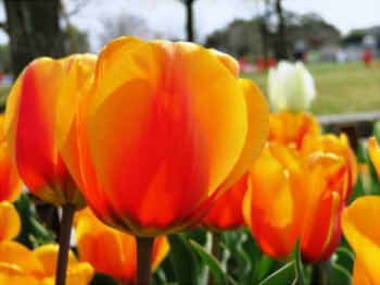 759a75d964b2ff5b415b25302a952fa5_s