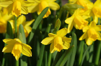 7fdb3a10257dddeb99905f89bf2c6935_s