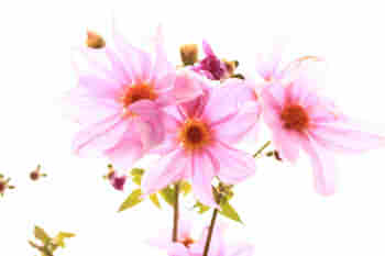 84026c9b4df1d4c4ba4d8f649a15a8a9_s