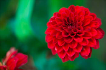 8522f5613e8f5cc8ac015828b5e53bdb_s