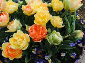 86cee04c5b831b1e0c254959843af8c7_s