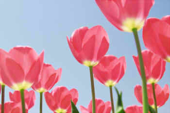 9894aef30e1143b5c9b6774aa6fba438_s