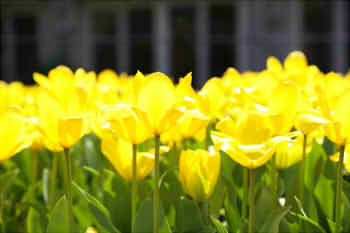 9da90123596cce916777df8e0be5f2da_s