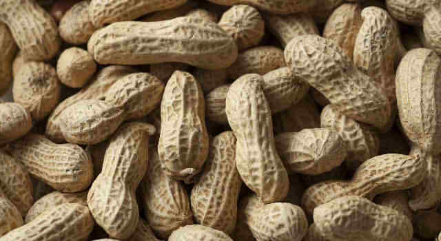落花生 ピーナッツ の栄養 成分と効能 健康や美容への効果とカロリーはいくら 情報整理の都