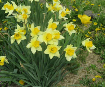 b60c7beb9c02217a25f92717498bc646_s