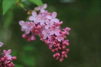 d6847177a573293b68ef26a92aae65b9_s