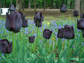 d9651f8f96bf7b720d08235bb162a204_s