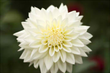 db52c19ec64ec1be25f0ae766604fc08_s