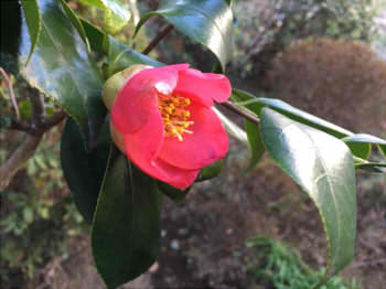 db9df78ccbce29cbf23ef10c6d9397ea_s