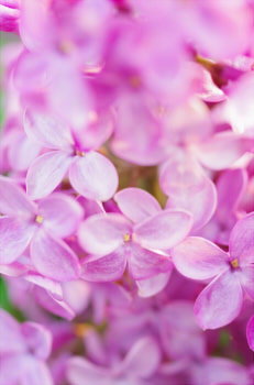 de19b8d96352bb6f0f2f6929d145841f_s2