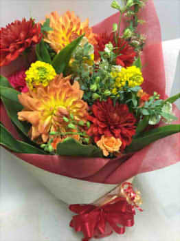 dfd062992b9c04f083c2610b5fbd17fd_s