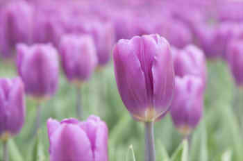 ec27f9da019067f1ab11b1ac148890c9_s