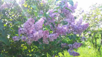 fb38709d3694a9b1e77aadbc4b3209ff_s