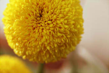 0c1518e1860bf9295ac71b55878c4ce1_s