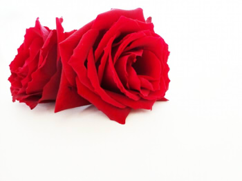 26916df2a831d101d7ef68c1ea6c9add_s