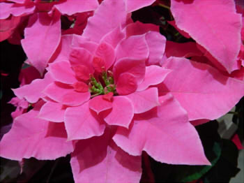 29ea50f564aabee8de20841f3fab9206_s