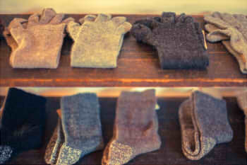 3d2614dee1aeaf41d463ace095aa53bb_s