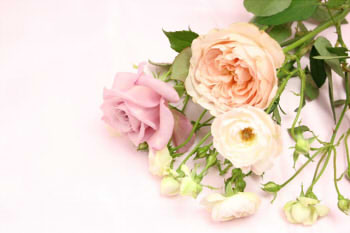 6b847af9f4853501c91e453016f2d825_s