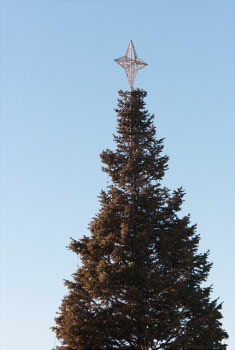 86584241f9b661a450cc0fa4acc08ec4_s